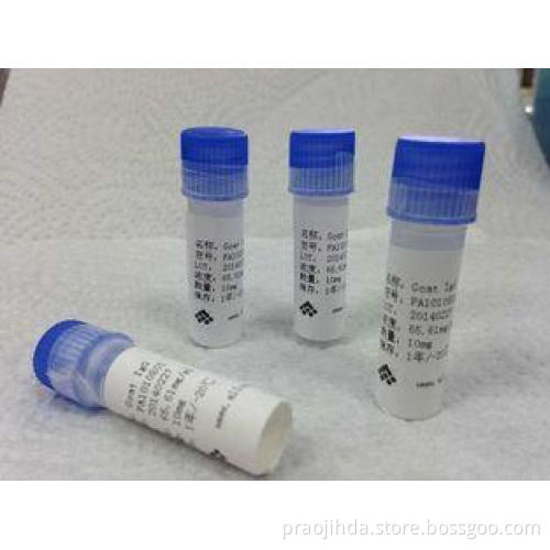 Anti - Opiates Hybridoma Monoclonal Anti body Mouse Antibod